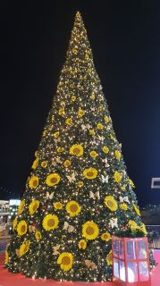 GC-Shopping Mogan Mall 2026-134.jpg